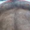 foto do perfil walverine